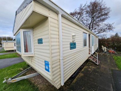 WILLERBY BERMUDA 37X12 DG CH